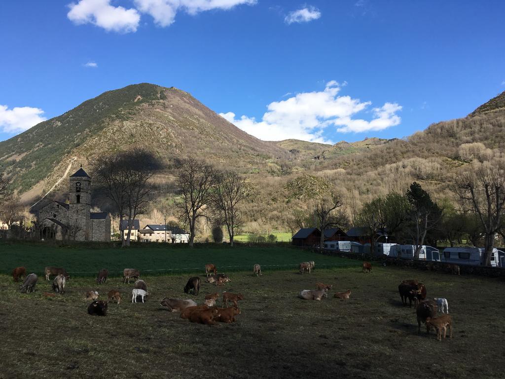 Camping Boneta Барруера Екстер'єр фото